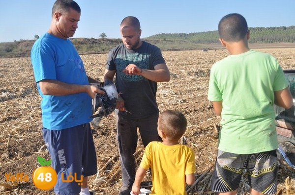 7amam lud monir 908 (19).JPG